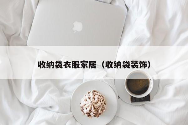 收纳袋衣服家居(收纳袋装饰)